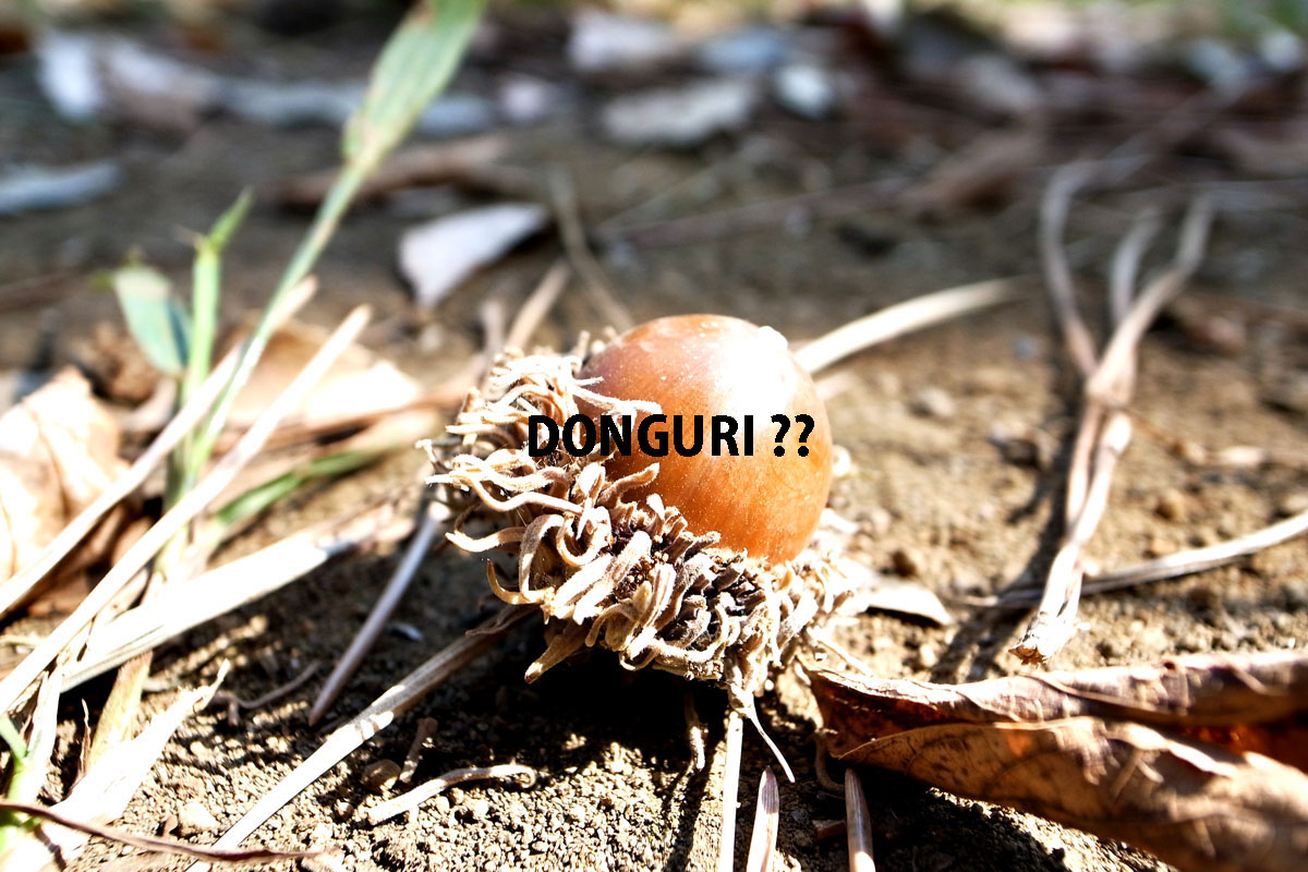 トチ渋　-酸化被膜の除去-