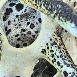 コレ?アレ? アップ画像です。2重に溶岩釉が発泡